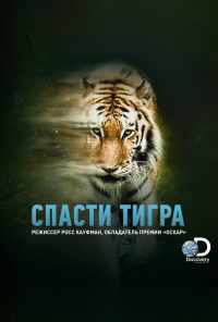 Спасти тигра (2019) онлайн бесплатно