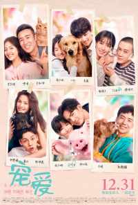 Обожание (2019) онлайн бесплатно