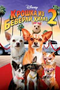 смотреть Крошка из Беверли-Хиллз 2 (2010) онлайн бесплатно в хорошем качестве без регистрации